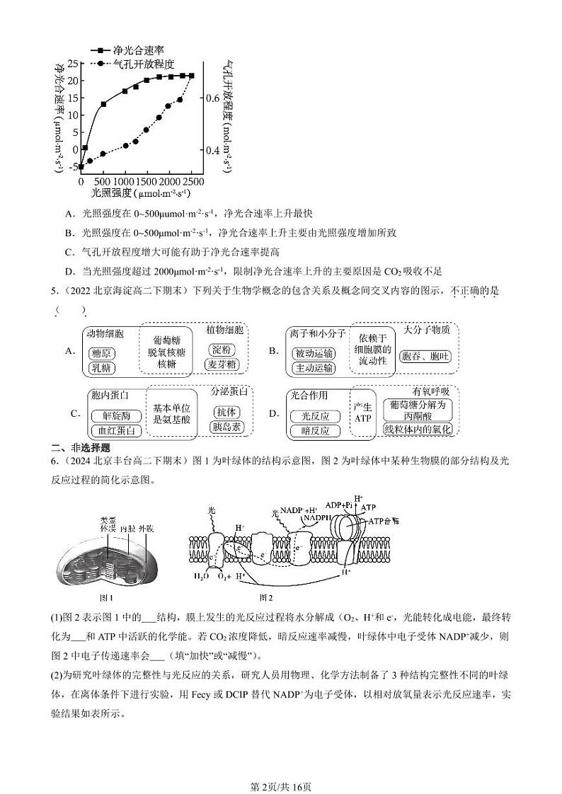 2022-2024北京重点校高二（下）期末真题生物汇编：光合作用与能量转化第2页