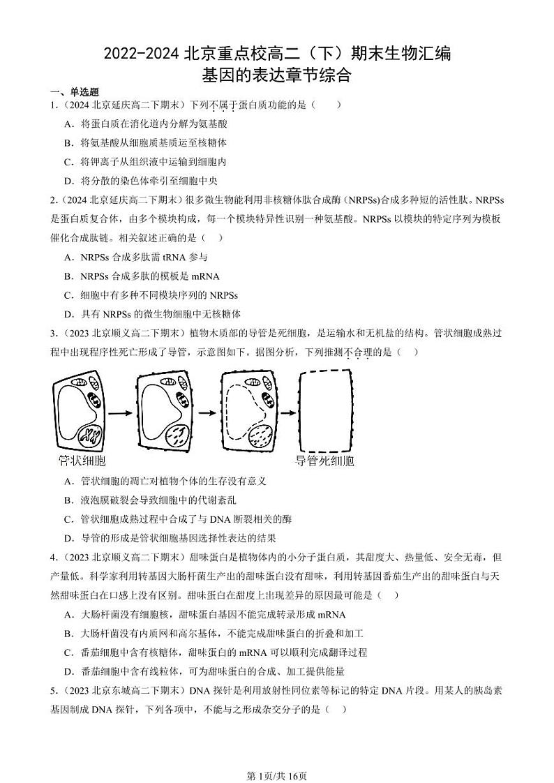 2022-2024北京重点校高二（下）期末真题生物汇编：基因的表达章节综合第1页