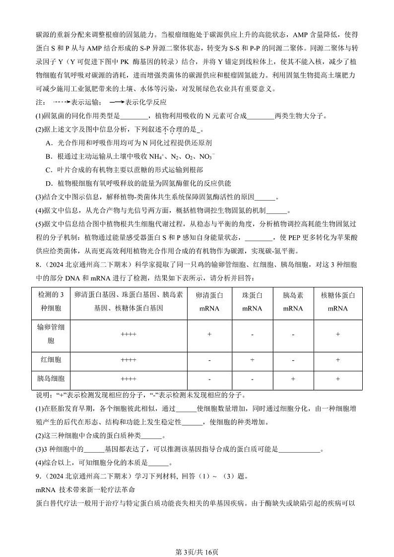 2022-2024北京重点校高二（下）期末真题生物汇编：基因的表达章节综合第3页