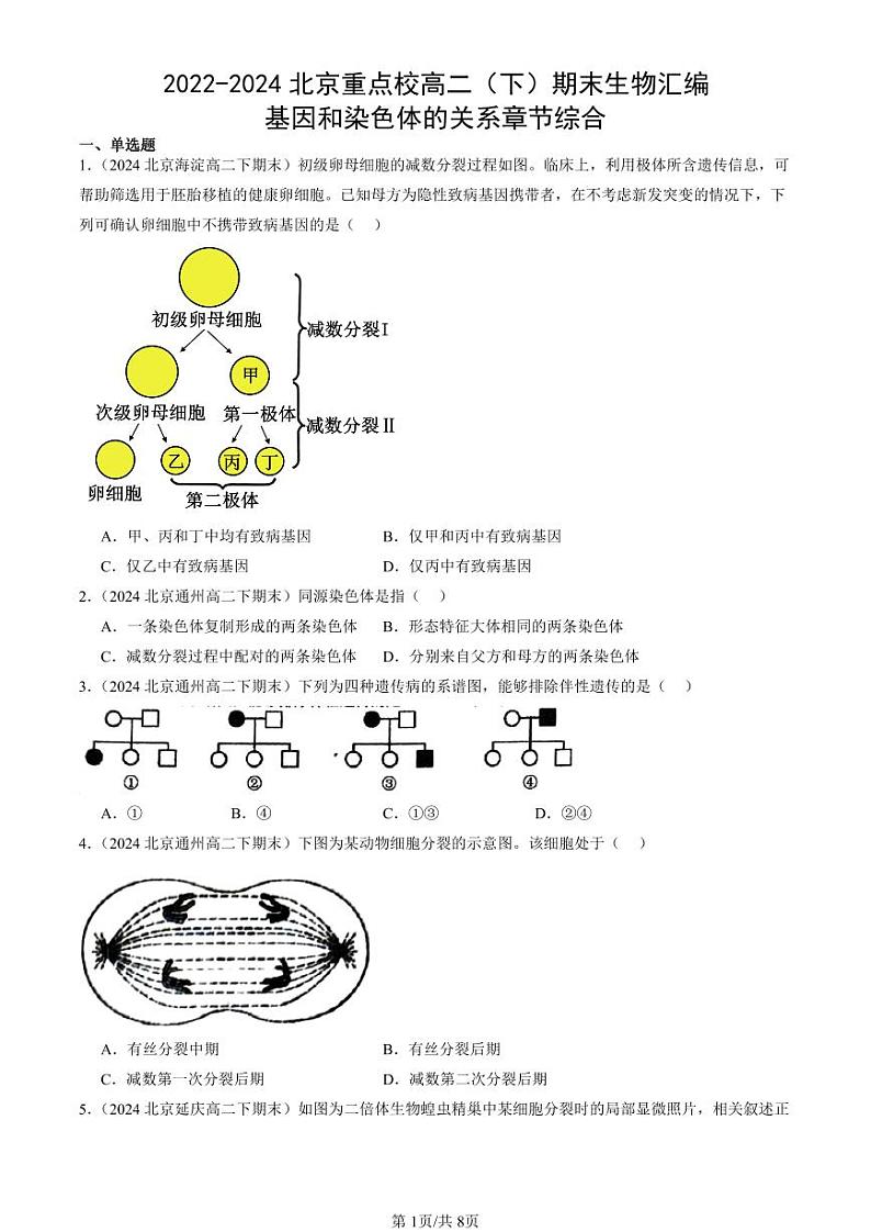 2022-2024北京重点校高二（下）期末真题生物汇编：基因和染色体的关系章节综合第1页