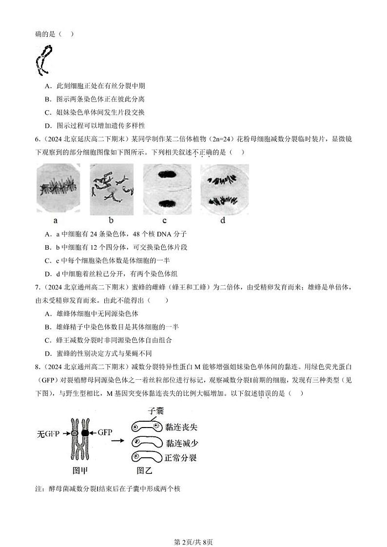 2022-2024北京重点校高二（下）期末真题生物汇编：基因和染色体的关系章节综合第2页