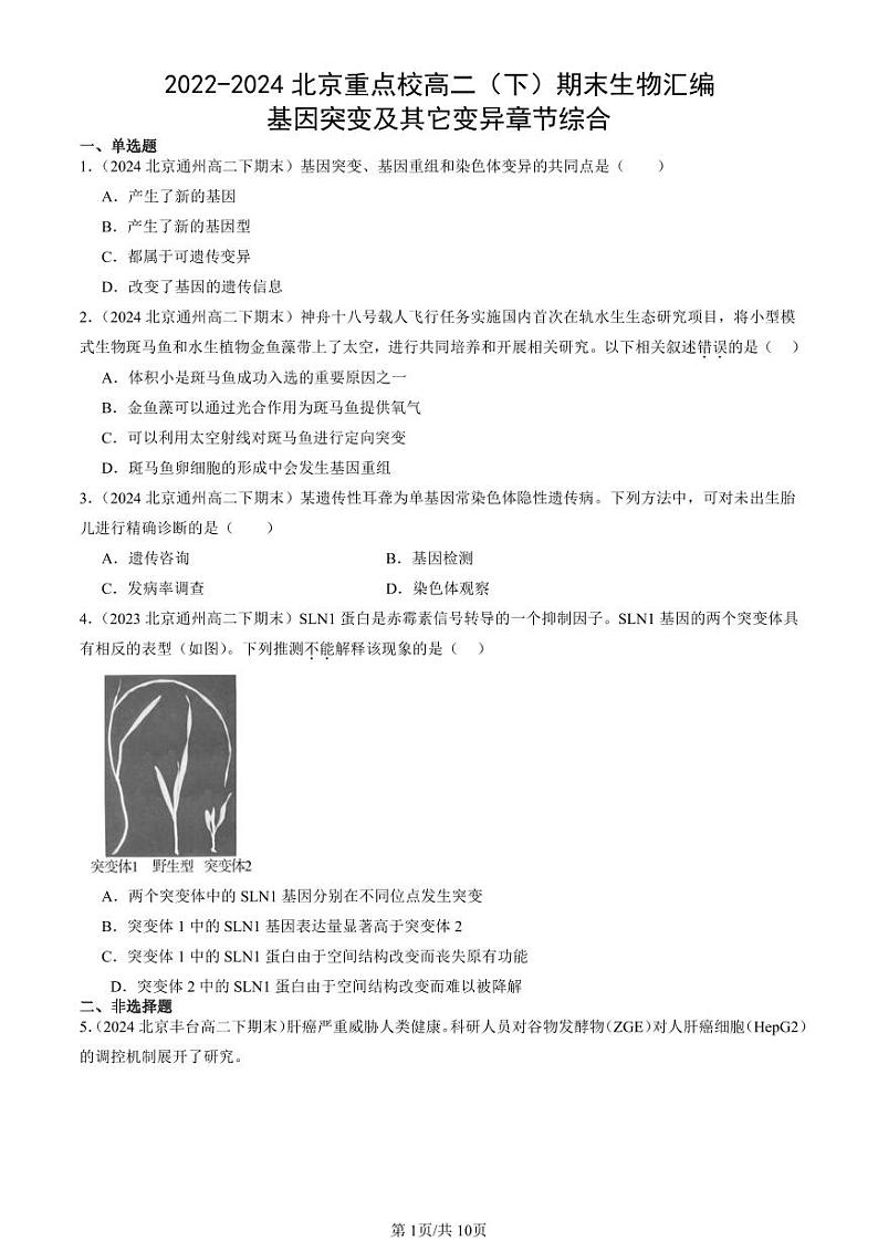 2022-2024北京重点校高二（下）期末真题生物汇编：基因突变及其它变异章节综合第1页