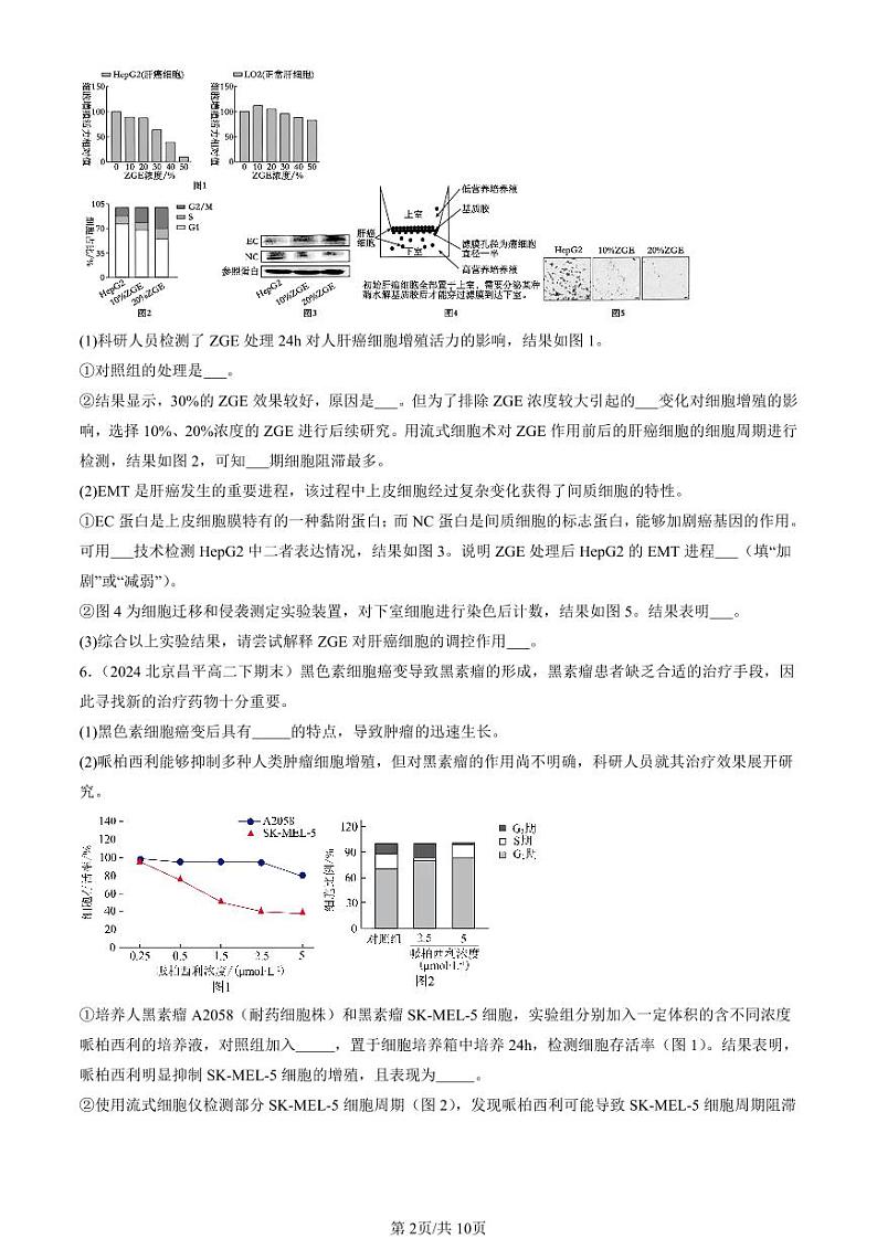 2022-2024北京重点校高二（下）期末真题生物汇编：基因突变及其它变异章节综合第2页