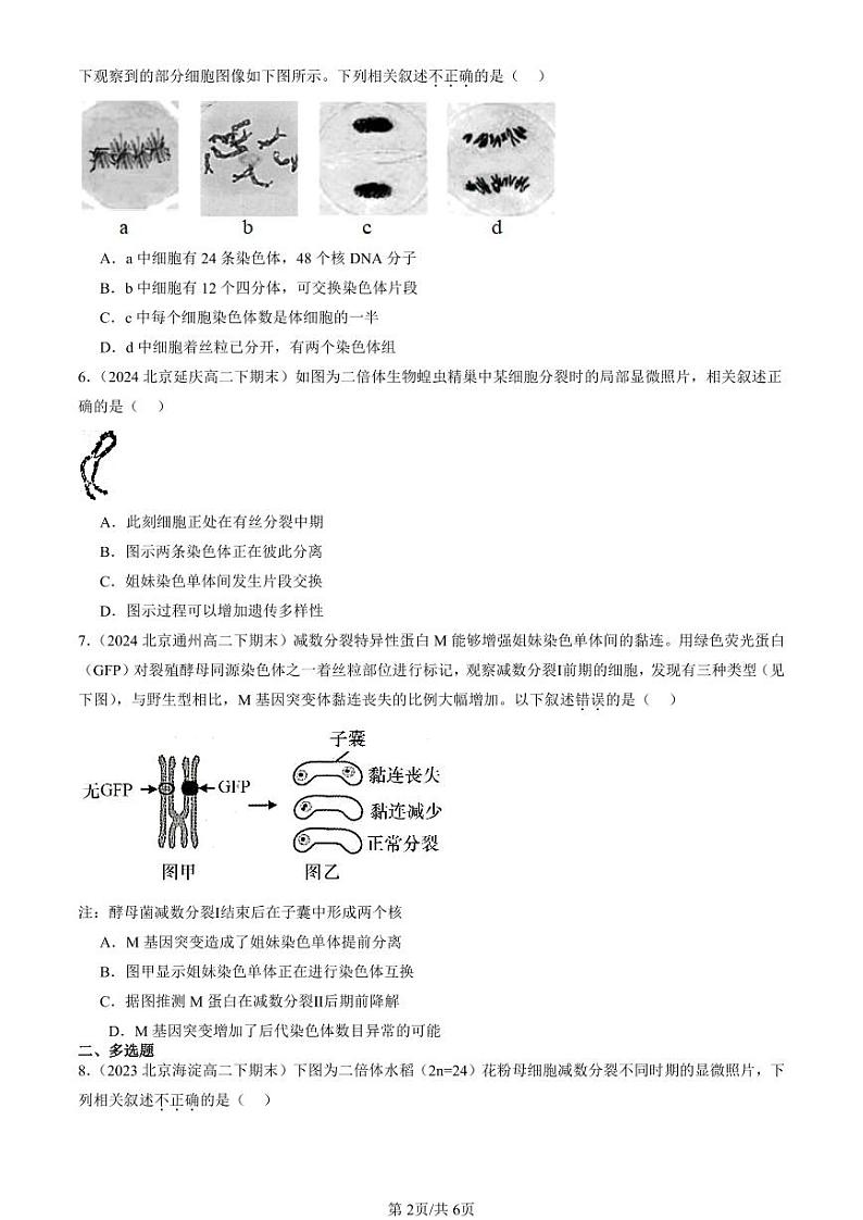 2022-2024北京重点校高二（下）期末真题生物汇编：减数分裂和受精作用第2页