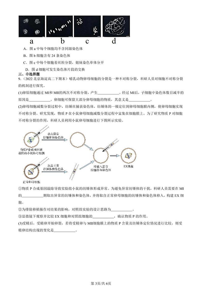 2022-2024北京重点校高二（下）期末真题生物汇编：减数分裂和受精作用第3页