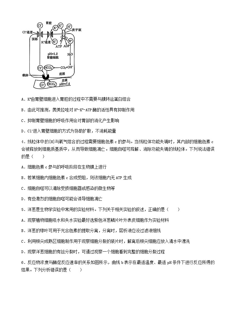 2025届河北金太阳高三10月联考生物学试题（含答案）第2页