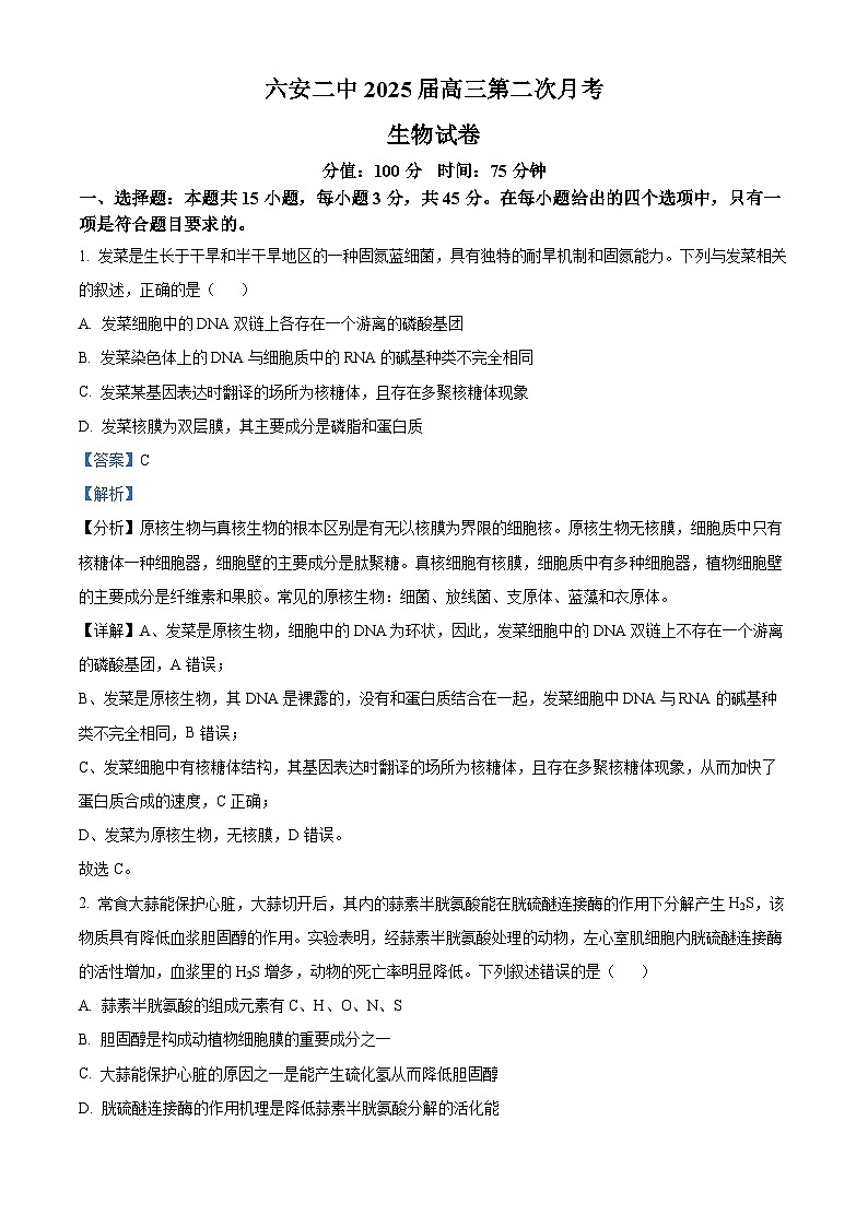 安徽省六安市第二中学2024-2025学年高三上学期10月月考生物答案第1页