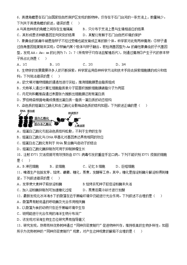广东省清远市2024—2025学年高三上学期第一次模拟考试生物试题(无答案)第2页