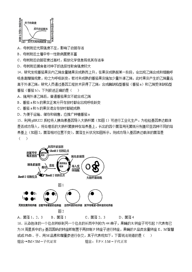 广东省清远市2024—2025学年高三上学期第一次模拟考试生物试题(无答案)第3页