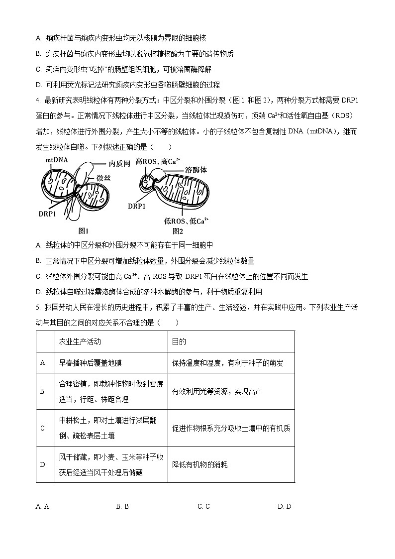 安徽省合肥市一六八中学2024-2025学年高三上学期10月月考试题 生物 Word版含解析第2页