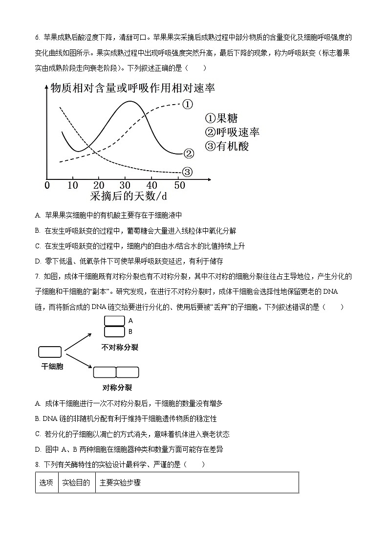 安徽省合肥市一六八中学2024-2025学年高三上学期10月月考试题 生物 Word版含解析第3页