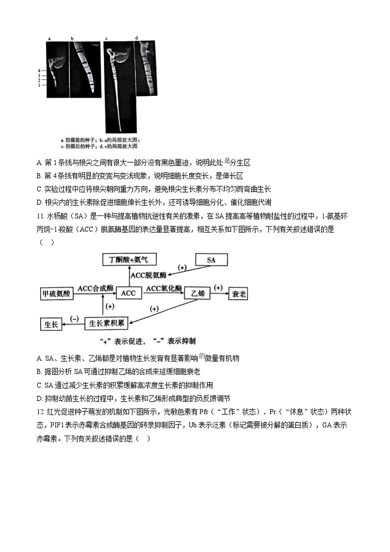 湖南天壹名校联盟2024—2025学年高二上学期12月考试生物试题（原卷版）第3页