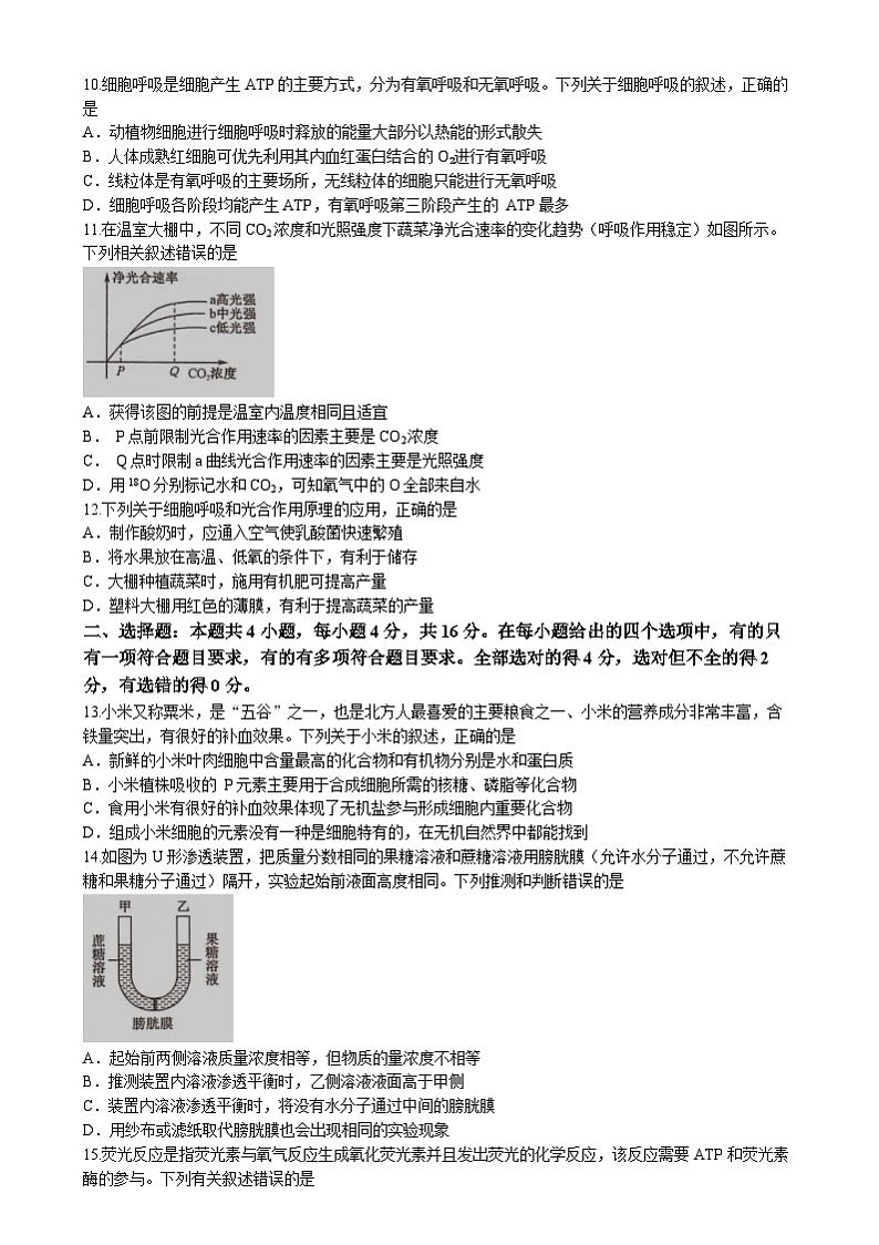 湖南省名校大联考2024-2025学年高一上学期1月期末考试生物试题（Word版附答案）第3页