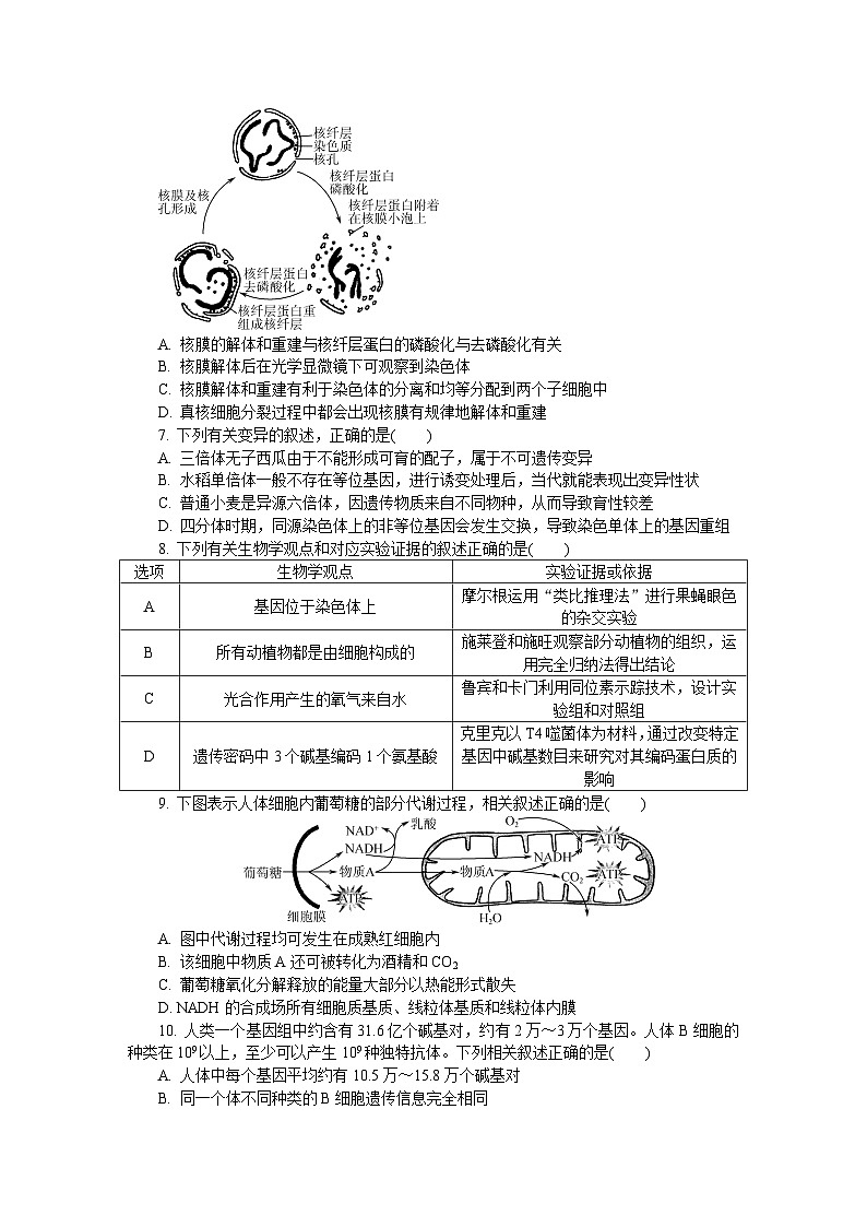 江苏省盐城市、南京市2024-2025学年高三上学期期末调研测试生物试题第2页