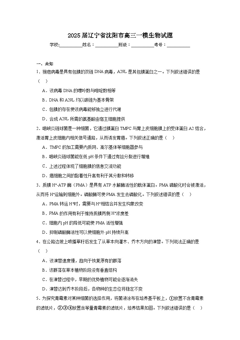 2025届辽宁省沈阳市高三一模生物试题第1页