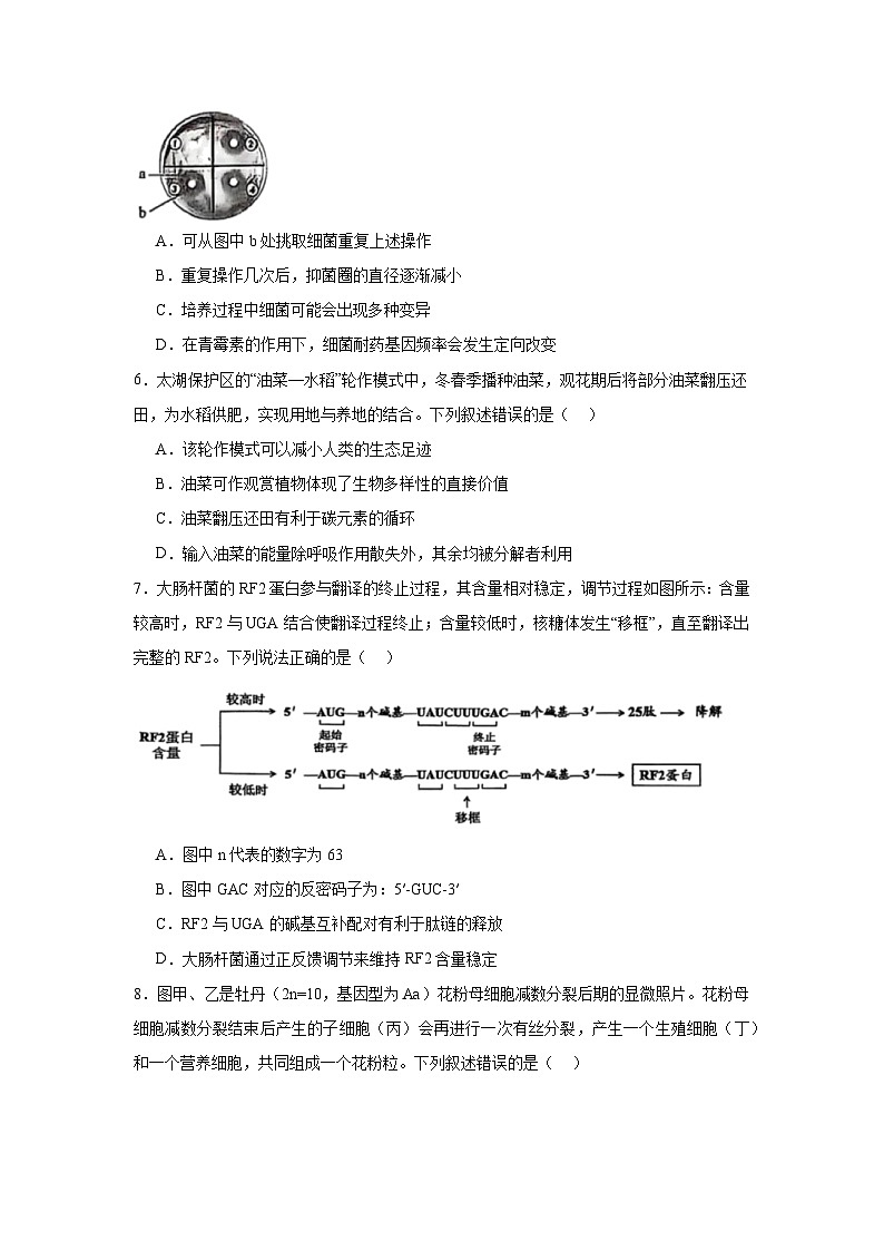 2025届辽宁省沈阳市高三一模生物试题第2页