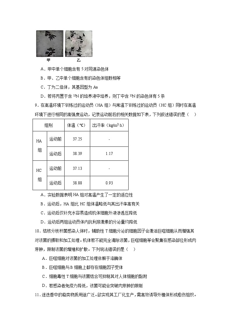 2025届辽宁省沈阳市高三一模生物试题第3页