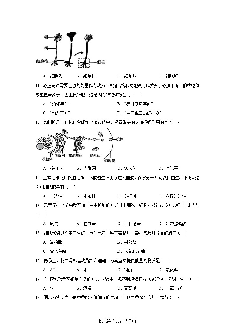 2025年黑龙江省普通高中学业水平合格性考试生物学试卷第2页