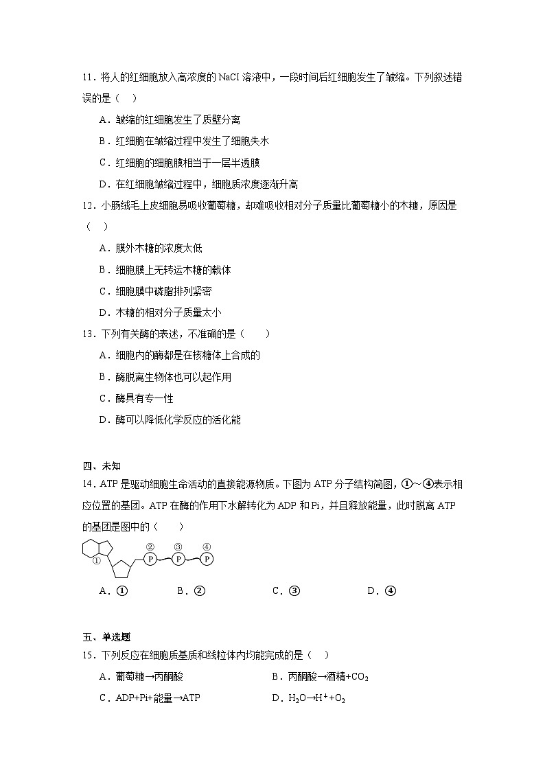 江苏省部分学校2024-2025学年普通高中学业水平合格性考试模拟生物试题第3页
