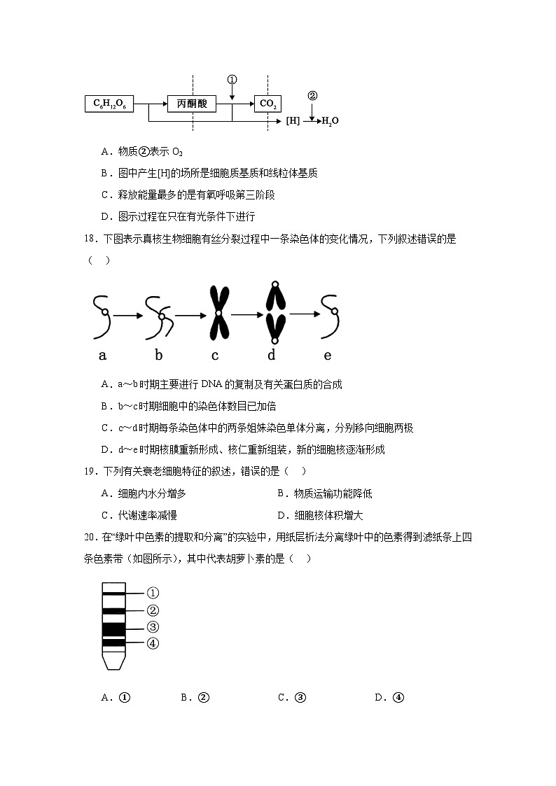 江苏省徐州市2024-2025学年高二上学期合格考模拟生物试题第3页