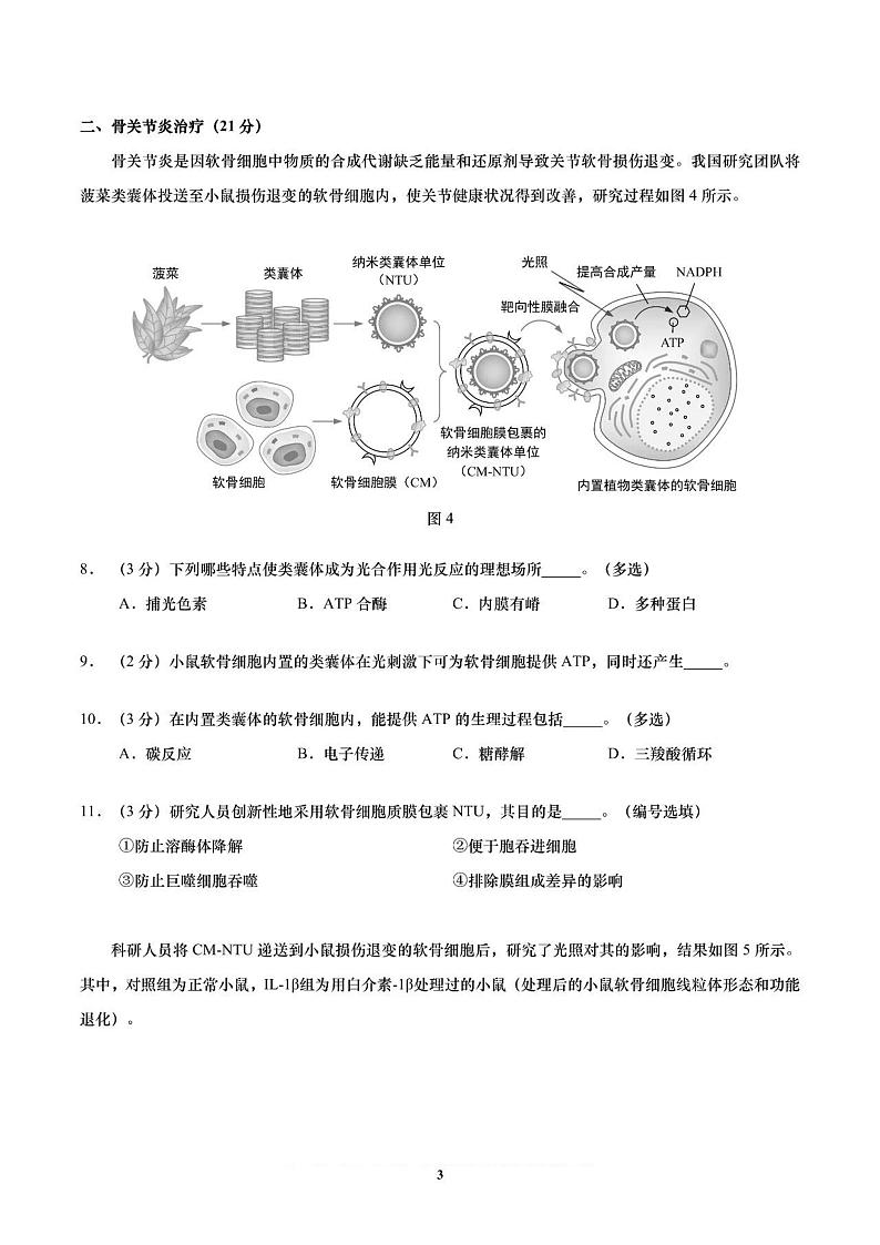 上海市黄浦区2025届第一学期学生学习能力诊断测试高三生物试卷（黄浦区一模）第3页