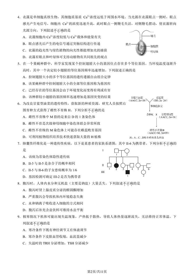 2025北京丰台高三（上）期末生物试卷和参考答案第2页
