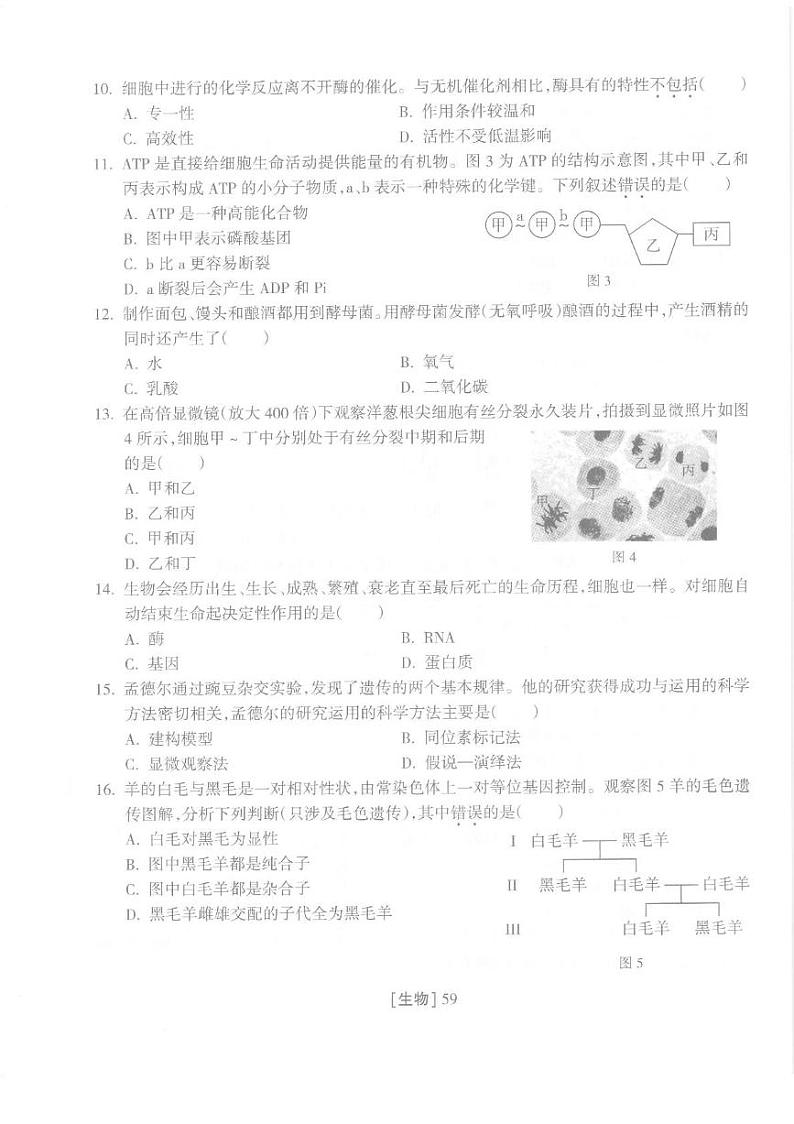 2025年福建省普通高中学业水平合格性考试练习生物（八）第3页