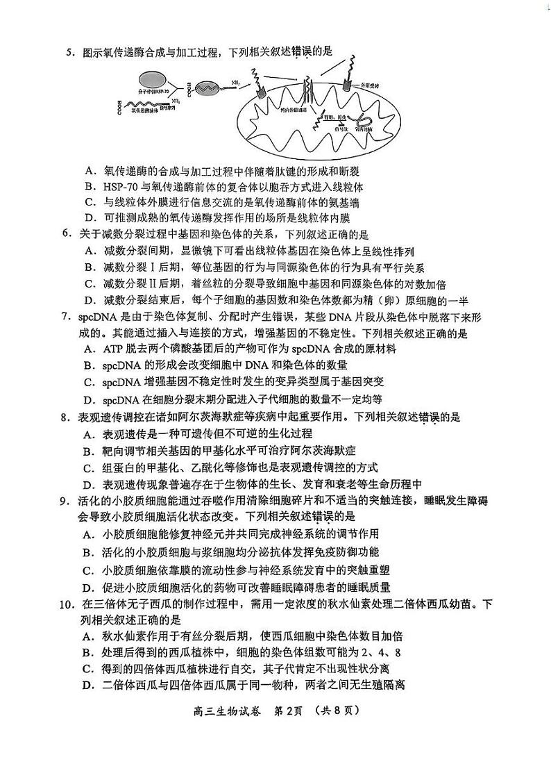 江苏省常州市2024-2025年高三上学期期末考试生物试题第2页