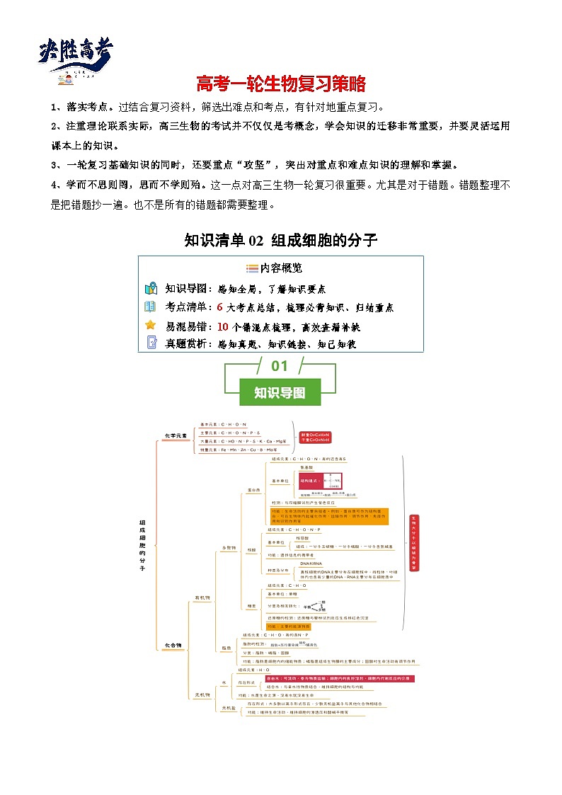 专题02 组成细胞的分子（讲练）--2025年高考生物一轮复习知识点第1页