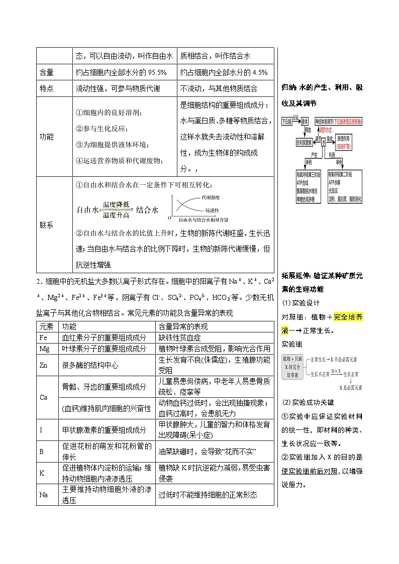 专题02 组成细胞的分子（讲练）--2025年高考生物一轮复习知识点第3页