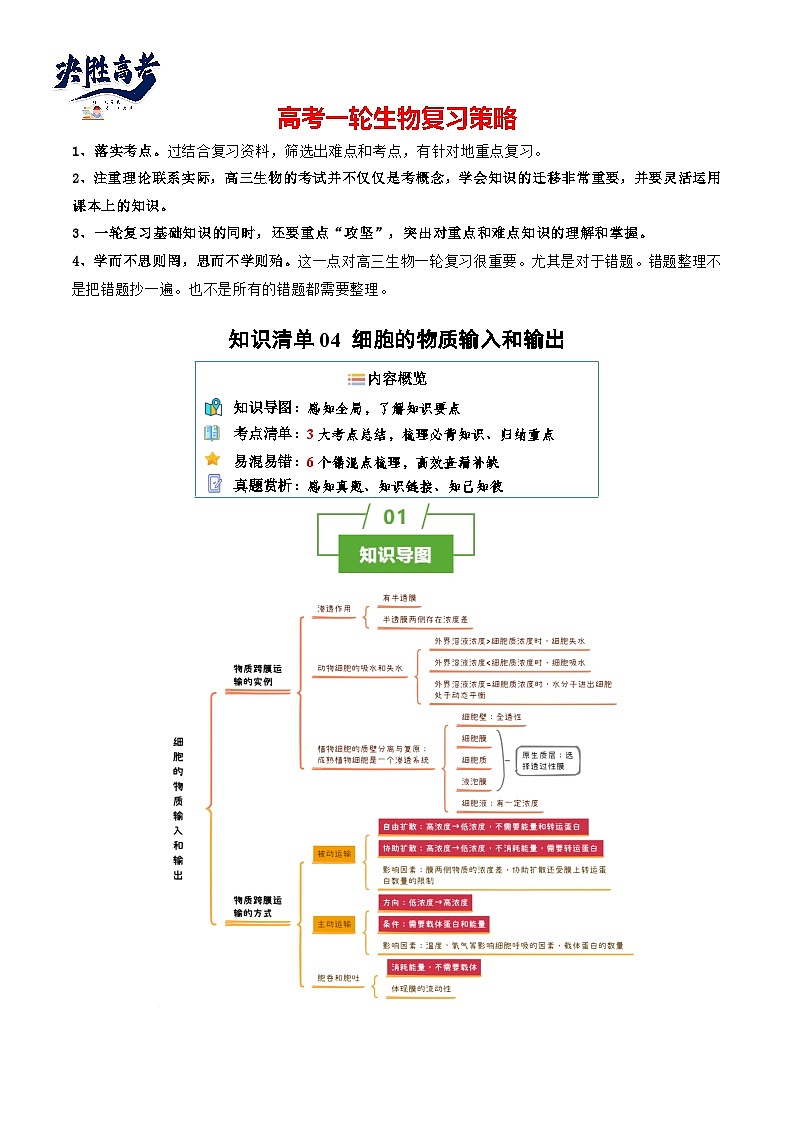 专题04 细胞的物质输入和输出（讲练）--2025年高考生物一轮复习知识点第1页
