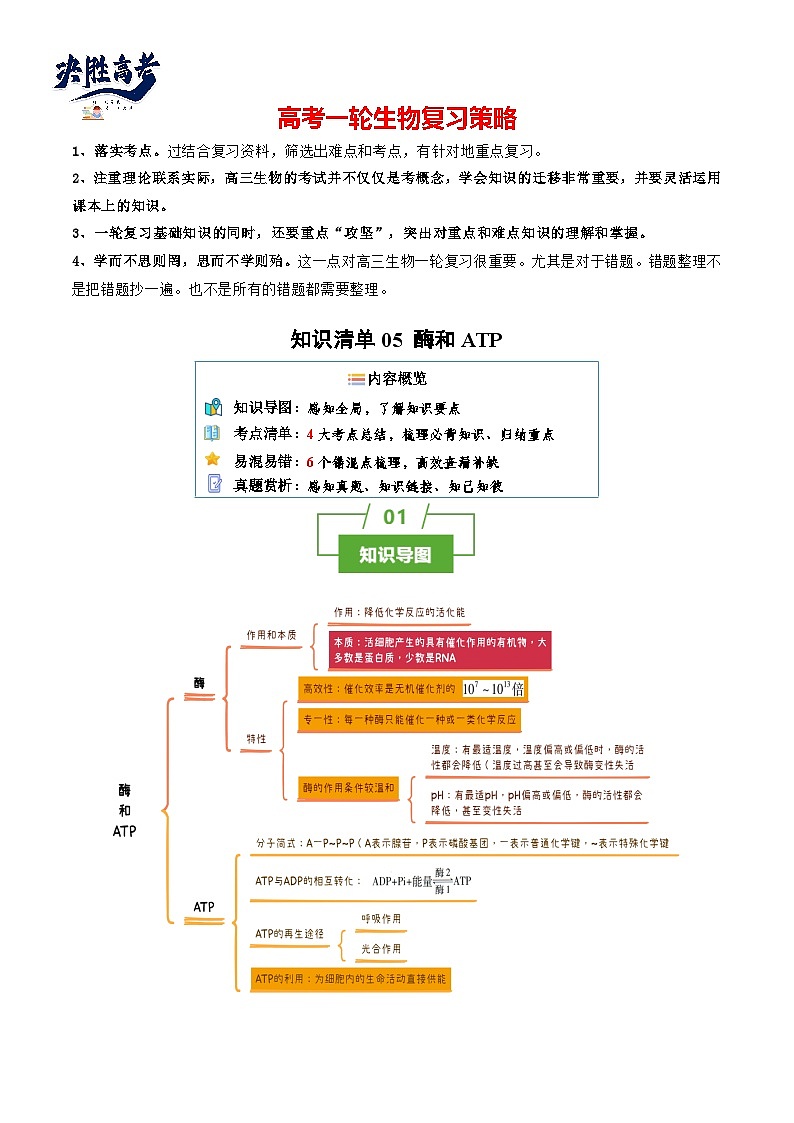 专题05 酶和ATP（讲练）--2025年高考生物一轮复习知识点第1页