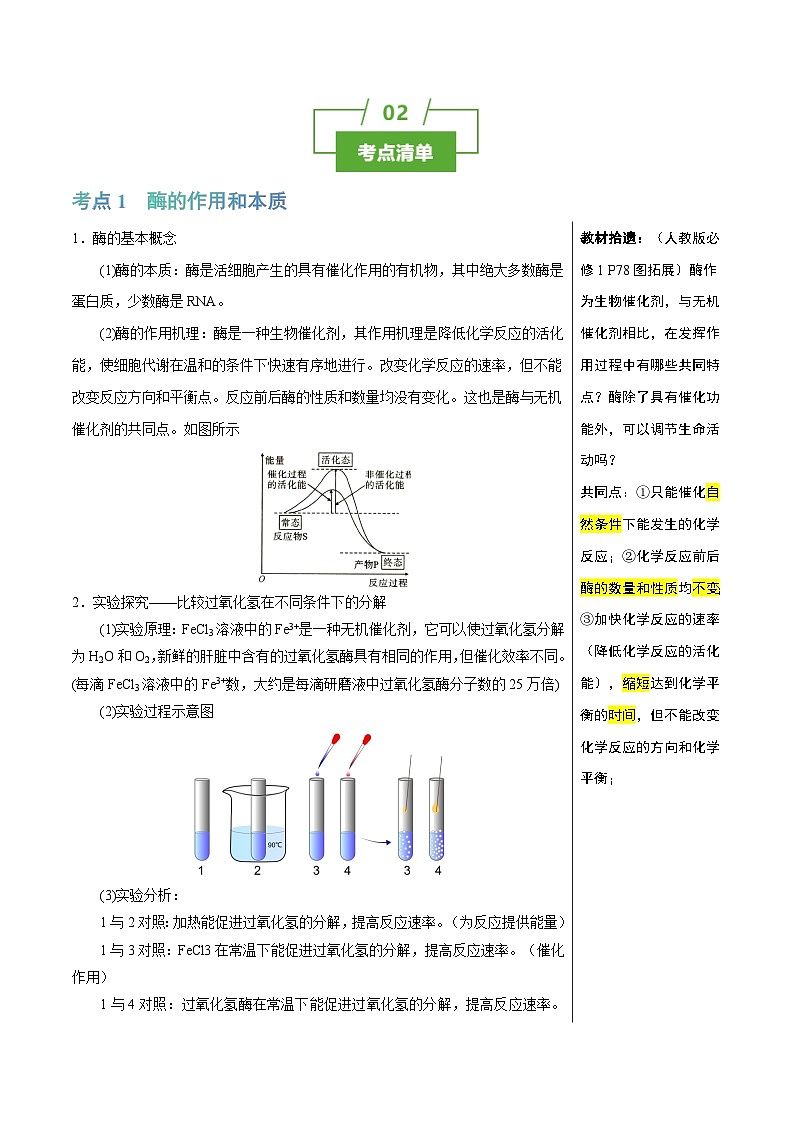 专题05 酶和ATP（讲练）--2025年高考生物一轮复习知识点第2页