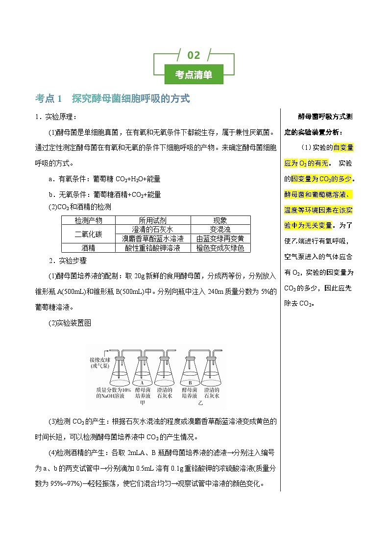 专题06 呼吸作用（讲练）--2025年高考生物一轮复习知识点第2页