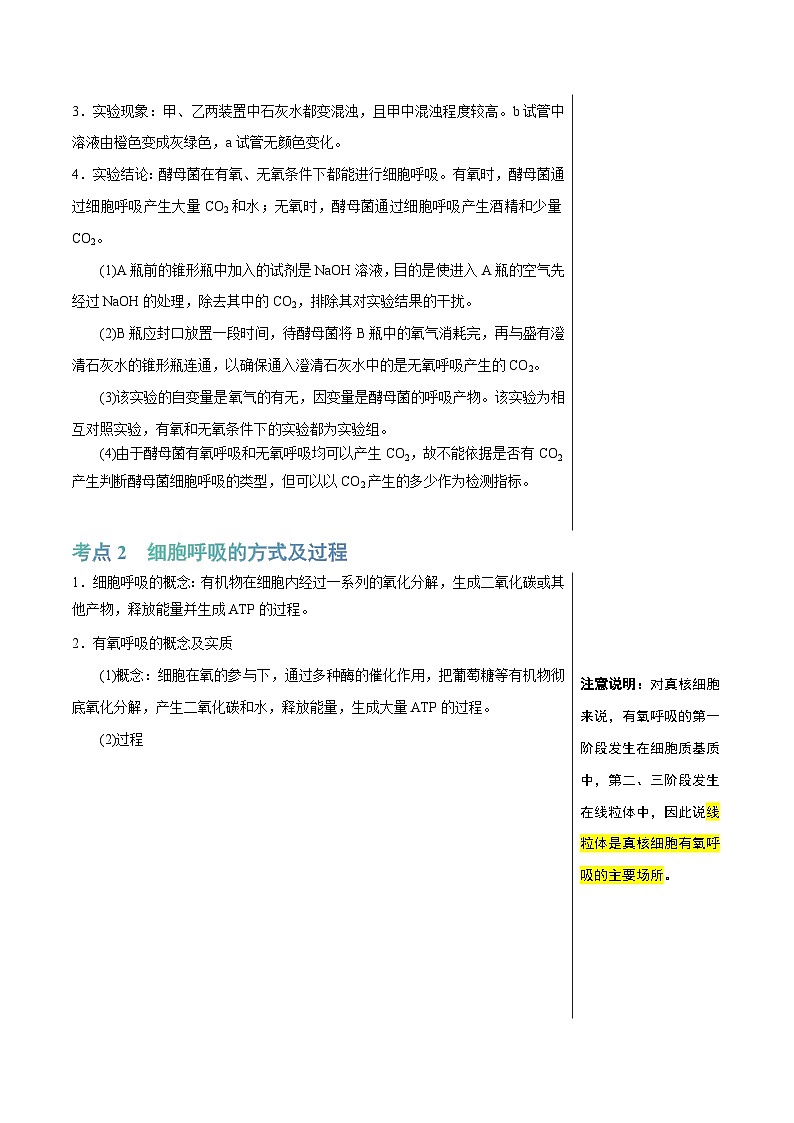 专题06 呼吸作用（讲练）--2025年高考生物一轮复习知识点第3页
