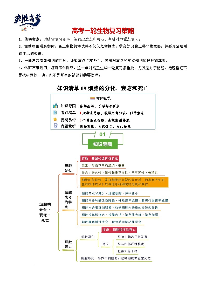 专题09 细胞的分化、衰老和死亡（讲练）--2025年高考生物一轮复习知识点第1页