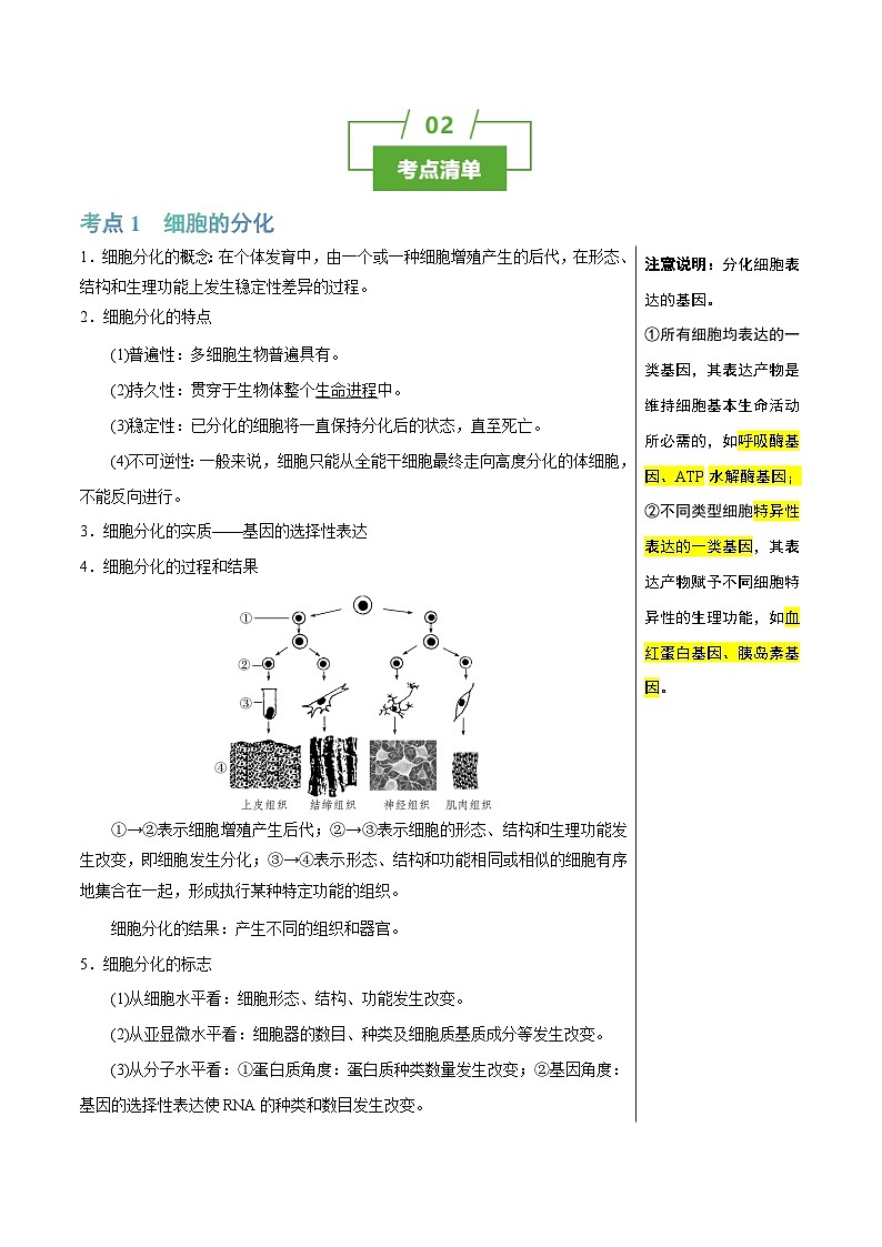 专题09 细胞的分化、衰老和死亡（讲练）--2025年高考生物一轮复习知识点第2页