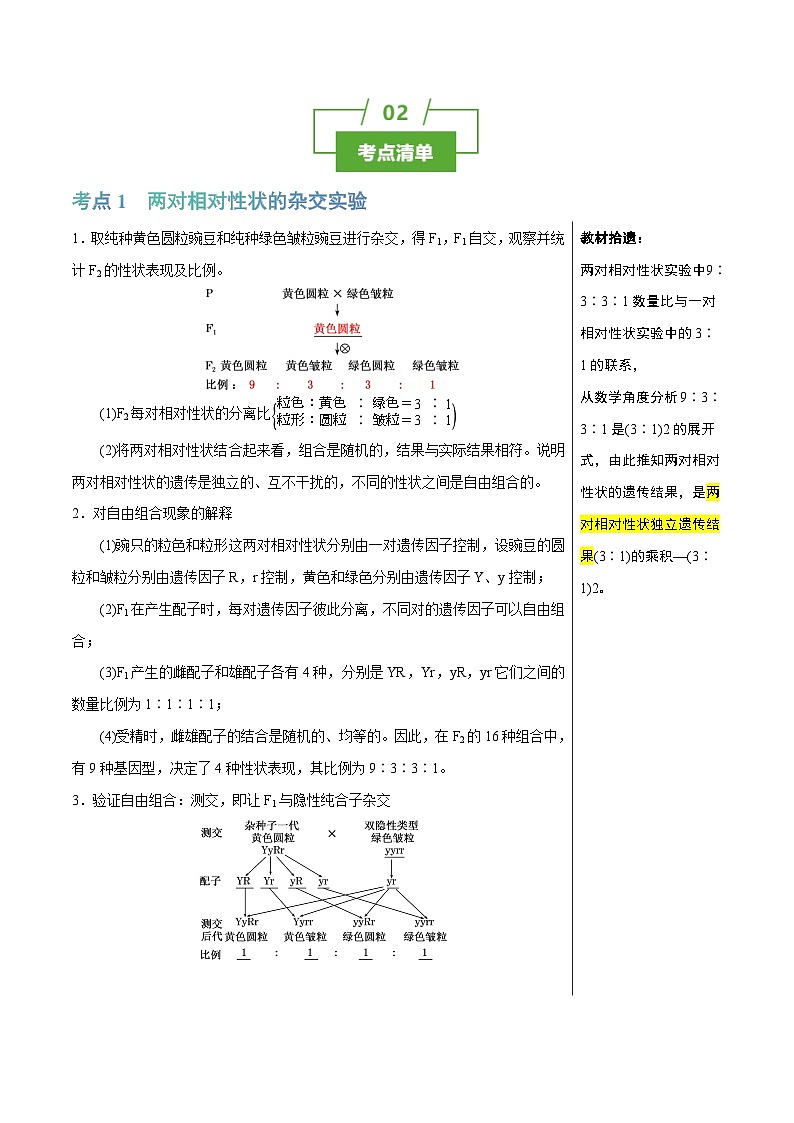 专题12 基因自由组合定律（讲练）--2025年高考生物一轮复习知识点第2页