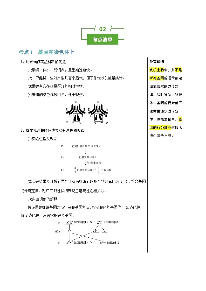 专题13 伴性遗传和人类遗传病（讲练）--2025年高考生物一轮复习知识点第2页