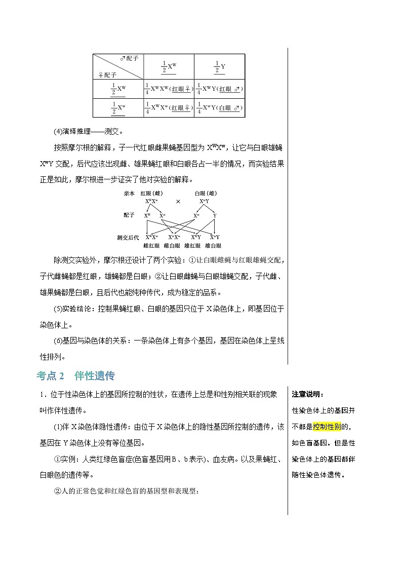 专题13 伴性遗传和人类遗传病（讲练）--2025年高考生物一轮复习知识点第3页
