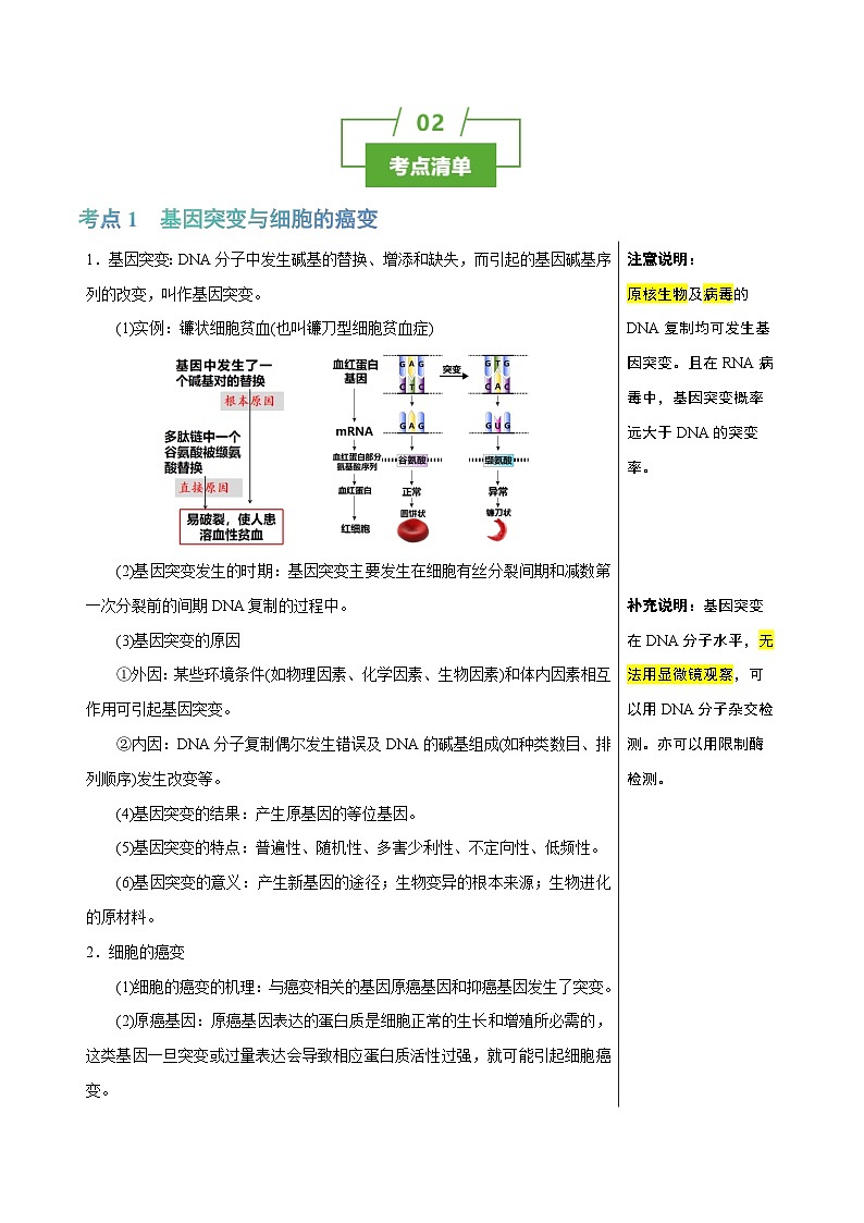 专题17 基因突变及其他变异（讲练）--2025年高考生物一轮复习知识点第2页