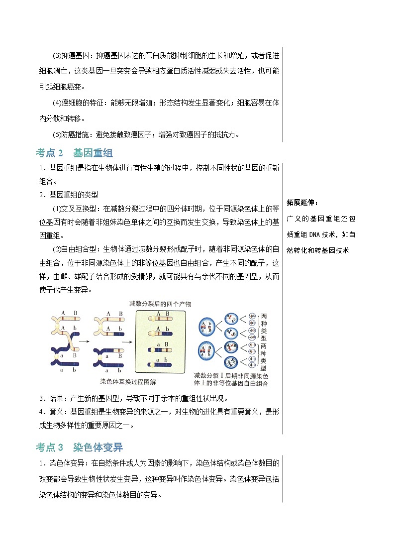 专题17 基因突变及其他变异（讲练）--2025年高考生物一轮复习知识点第3页