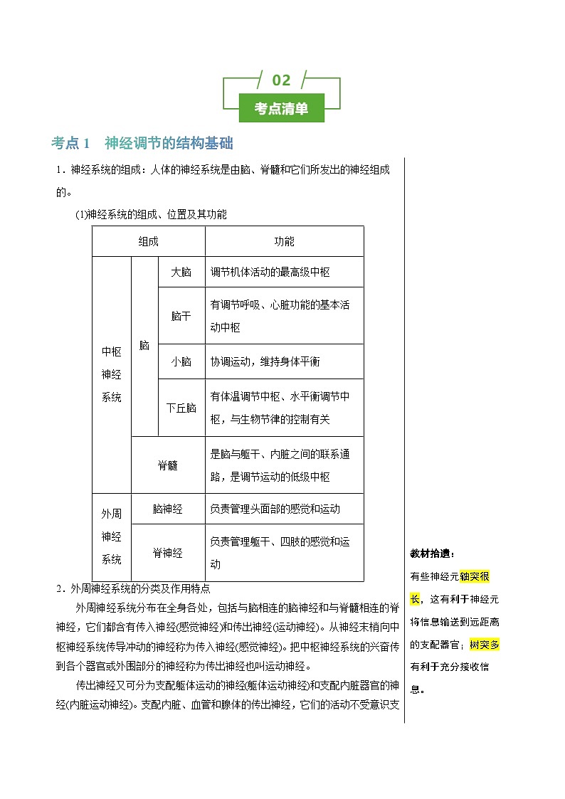 专题20 神经调节的结构基础与基本方式（讲练）--2025年高考生物一轮复习知识点第2页