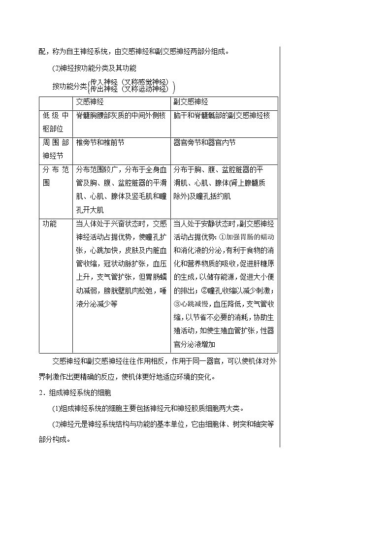 专题20 神经调节的结构基础与基本方式（讲练）--2025年高考生物一轮复习知识点第3页