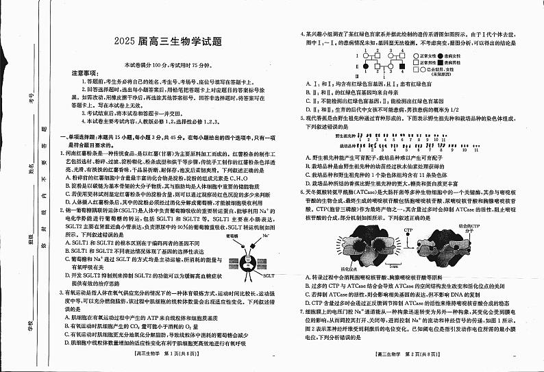 四川省金太阳2025届高三上学期12月联考(25-289C)-生物试卷+答案第1页
