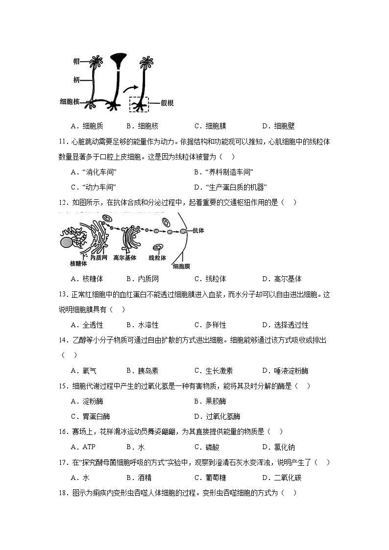 2025年黑龙江省普通高中学业水平合格性考试生物学试卷第2页