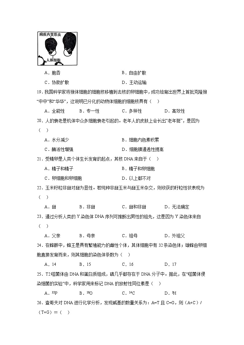 2025年黑龙江省普通高中学业水平合格性考试生物学试卷第3页