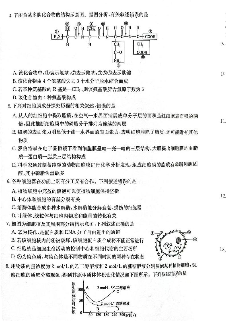 甘肃省酒泉市2024-2025学年高一上学期期末考试生物试题第2页