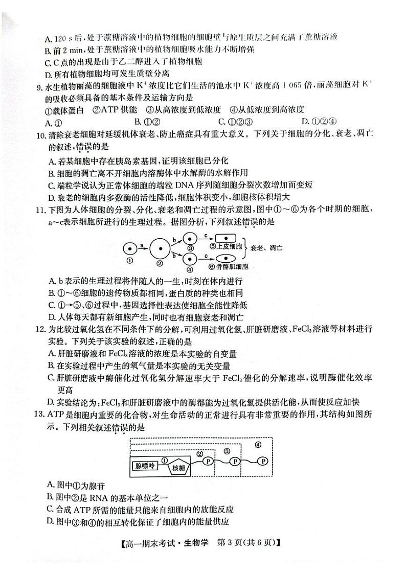 甘肃省酒泉市2024-2025学年高一上学期期末考试生物试题第3页