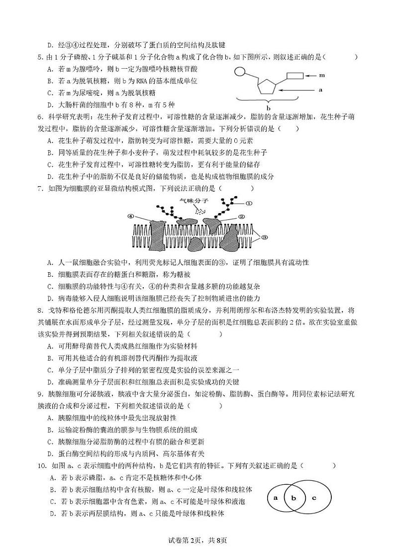 甘肃省兰州市第五十一中学2024-2025学年高一上学期期末考试生物试题第2页